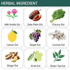 KOALA SHIELD Anti Hangover Tablets